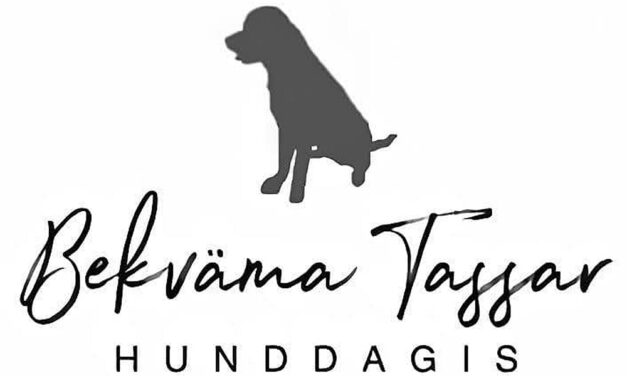 Bekväma Tassar – Ny sponsor!