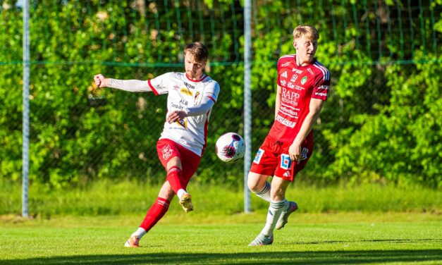 Skövde AIK blev för svåra i DM