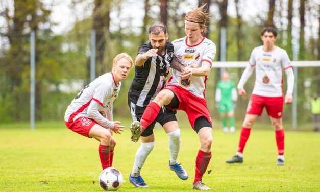Blek insats mot Tidaholms GoIF