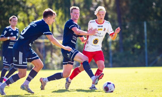 Mellerud siktade bättre i toppmötet
