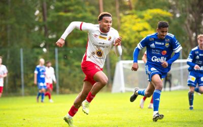 Förlust i säsongens sista match